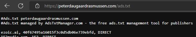 ezoic-ads-txt-example